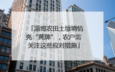 淄博农田土壤墒情亮“黄牌”，农户需关注这些应对措施