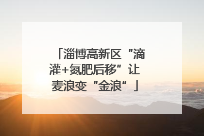 淄博高新区“滴灌+氮肥后移”让麦浪变“金浪”