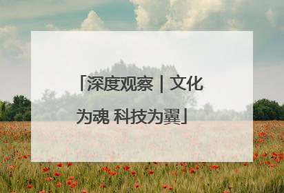 深度观察｜文化为魂 科技为翼
