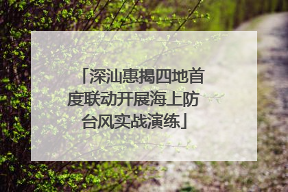 深汕惠揭四地首度联动开展海上防台风实战演练
