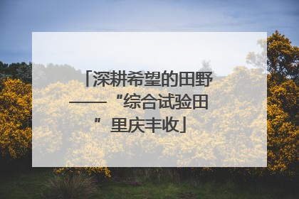 深耕希望的田野——“综合试验田”里庆丰收