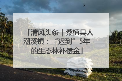 清风头条｜桑植县人潮溪镇：“迟到”5年的生态林补偿金