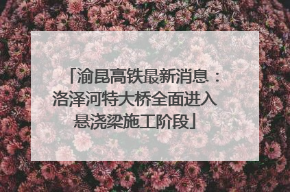 渝昆高铁最新消息：洛泽河特大桥全面进入悬浇梁施工阶段