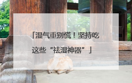 湿气重别慌！坚持吃这些“祛湿神器”