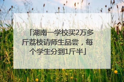 湖南一学校买2万多斤荔枝请师生品尝，每个学生分到1斤半