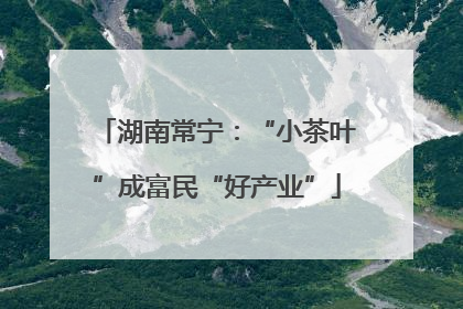 湖南常宁：“小茶叶”成富民“好产业”