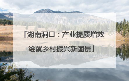 湖南洞口：产业提质增效 绘就乡村振兴新图景
