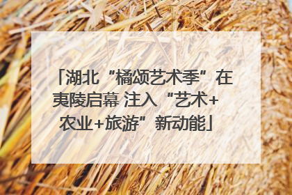 湖北“橘颂艺术季”在夷陵启幕 注入“艺术+农业+旅游”新动能