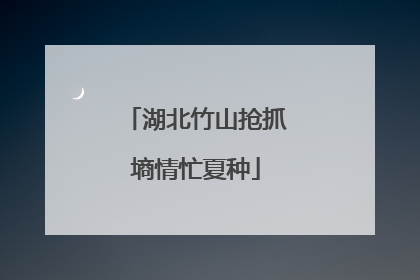 湖北竹山抢抓墒情忙夏种