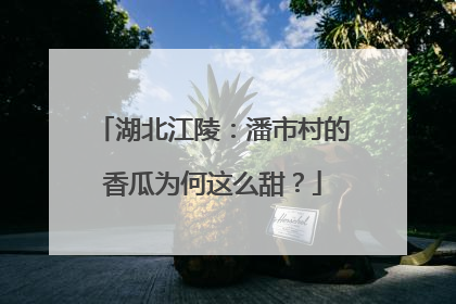 湖北江陵：潘市村的香瓜为何这么甜？