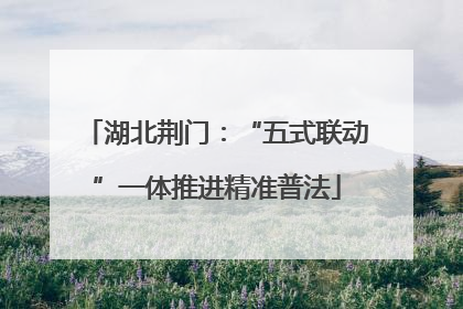 湖北荆门：“五式联动”一体推进精准普法