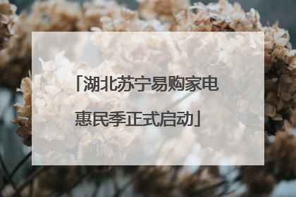 湖北苏宁易购家电惠民季正式启动