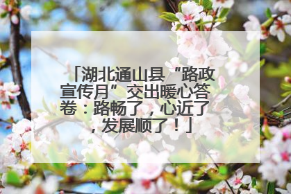 湖北通山县“路政宣传月”交出暖心答卷：路畅了，心近了，发展顺了！