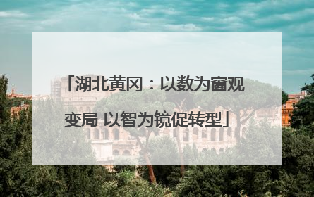 湖北黄冈：以数为窗观变局 以智为镜促转型