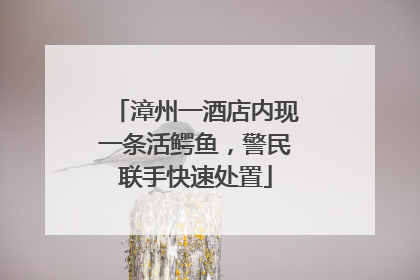 漳州一酒店内现一条活鳄鱼，警民联手快速处置