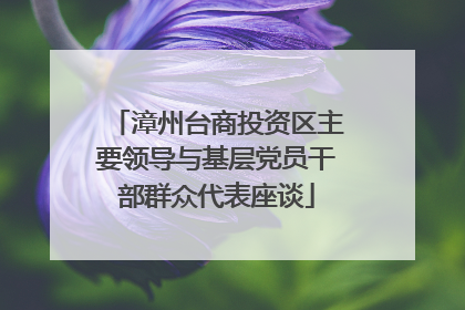 漳州台商投资区主要领导与基层党员干部群众代表座谈