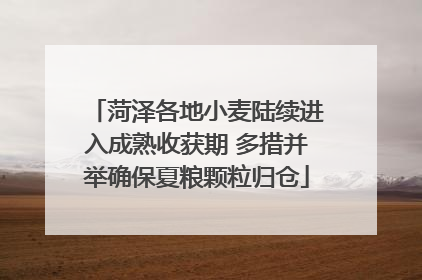 菏泽各地小麦陆续进入成熟收获期 多措并举确保夏粮颗粒归仓