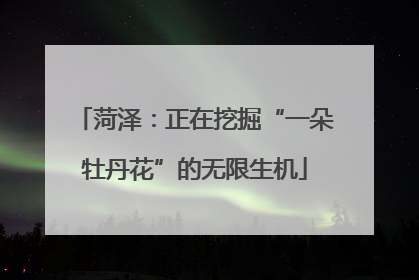 菏泽：正在挖掘“一朵牡丹花”的无限生机