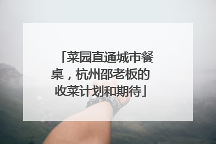 菜园直通城市餐桌，杭州邵老板的收菜计划和期待