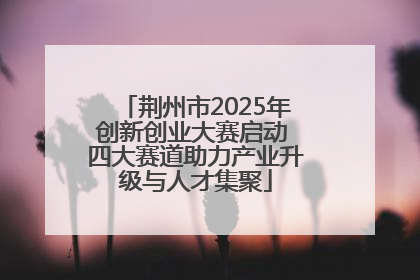 荆州市2025年创新创业大赛启动 四大赛道助力产业升级与人才集聚