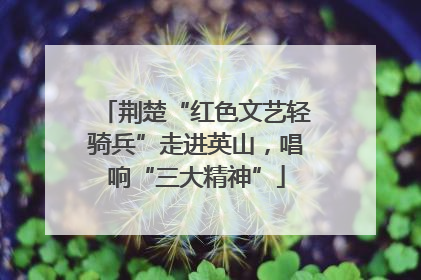 荆楚“红色文艺轻骑兵”走进英山，唱响“三大精神”