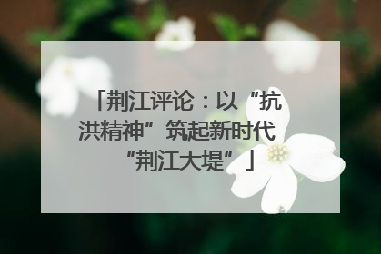 荆江评论：以“抗洪精神”筑起新时代“荆江大堤”