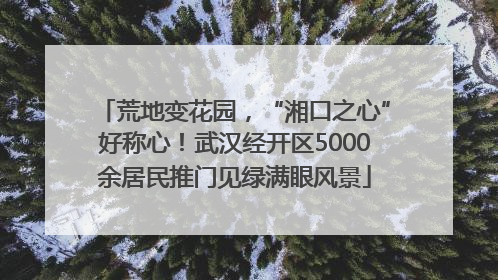 荒地变花园，“湘口之心”好称心！武汉经开区5000余居民推门见绿满眼风景
