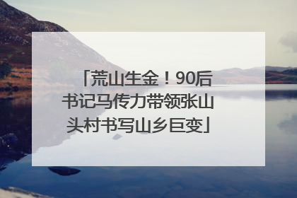 荒山生金！90后书记马传力带领张山头村书写山乡巨变