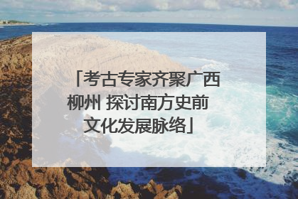 考古专家齐聚广西柳州 探讨南方史前文化发展脉络