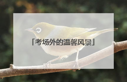 考场外的温馨风景