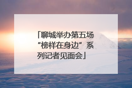 聊城举办第五场“榜样在身边”系列记者见面会