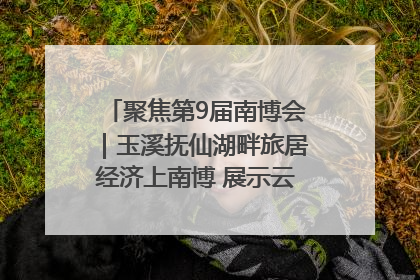 聚焦第9届南博会｜玉溪抚仙湖畔旅居经济上南博 展示云南生活新样本
