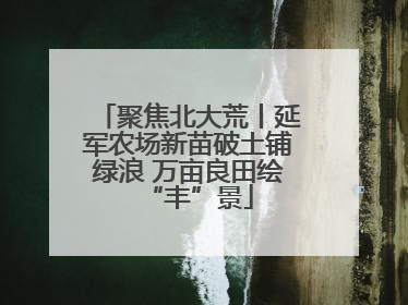 聚焦北大荒丨延军农场新苗破土铺绿浪 万亩良田绘“丰”景