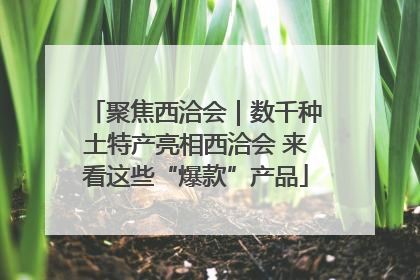 聚焦西洽会｜数千种土特产亮相西洽会 来看这些“爆款”产品