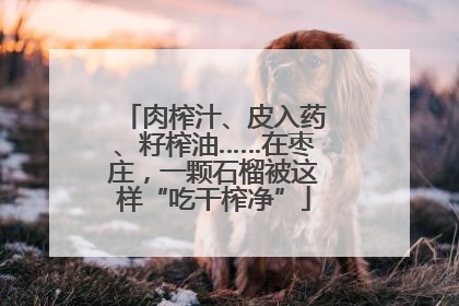 肉榨汁、皮入药、籽榨油……在枣庄，一颗石榴被这样“吃干榨净”