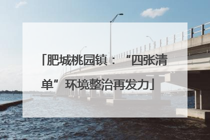 肥城桃园镇：“四张清单”环境整治再发力