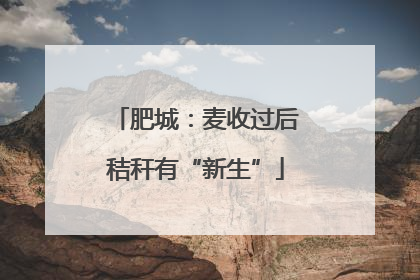 肥城：麦收过后秸秆有“新生”