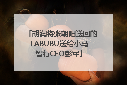 胡润将张朝阳送回的LABUBU送给小马智行CEO彭军