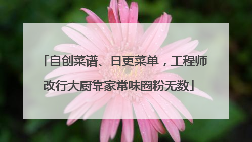 自创菜谱、日更菜单，工程师改行大厨靠家常味圈粉无数