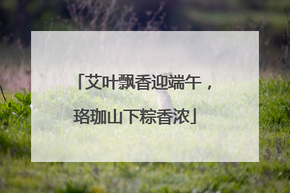 艾叶飘香迎端午，珞珈山下粽香浓