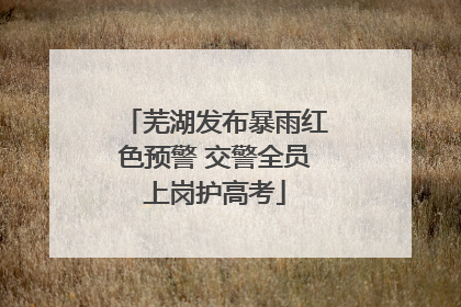 芜湖发布暴雨红色预警 交警全员上岗护高考