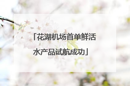 花湖机场首单鲜活水产品试航成功