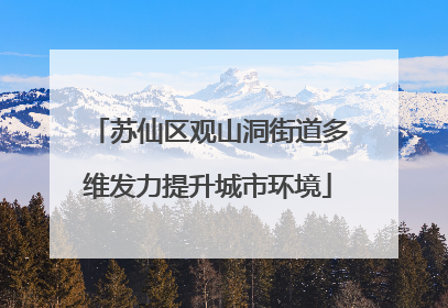 苏仙区观山洞街道多维发力提升城市环境