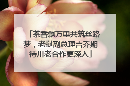 茶香飘万里共筑丝路梦，老挝副总理吉乔期待川老合作更深入