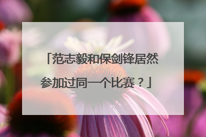 范志毅和保剑锋居然参加过同一个比赛？