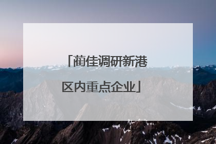 蔺佳调研新港区内重点企业