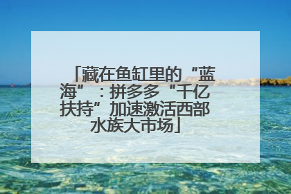 藏在鱼缸里的“蓝海”：拼多多“千亿扶持”加速激活西部水族大市场
