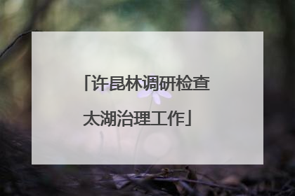 许昆林调研检查太湖治理工作