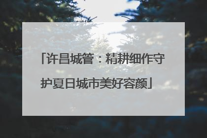 许昌城管：精耕细作守护夏日城市美好容颜