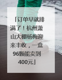订单早就排满了！杭州萧山大棚杨梅迎来丰收，一盒96颗能卖到400元